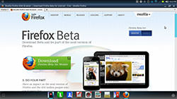 Desktop websites with multiple tabs